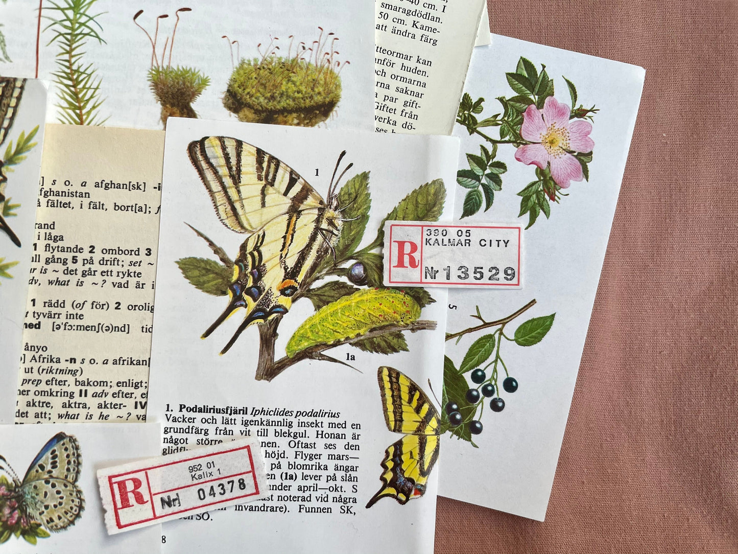 Vintage paper mystery pack